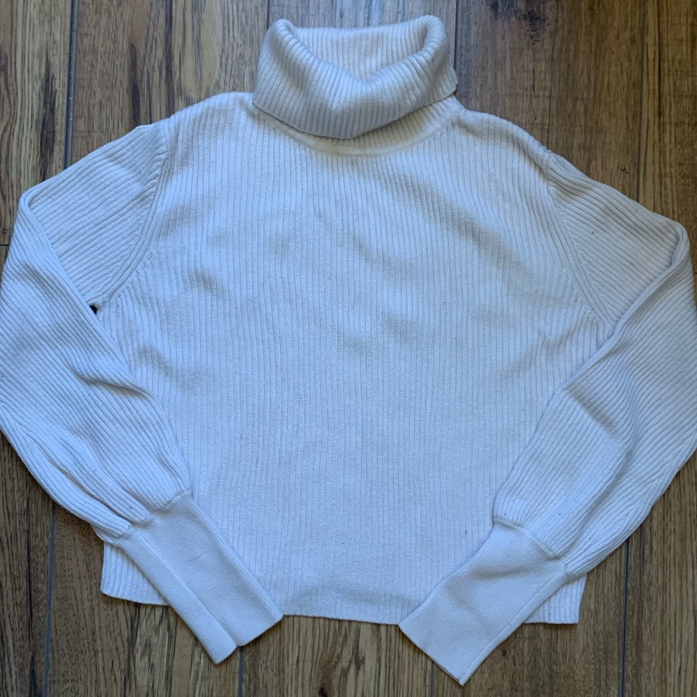 Dynamite cropped turtleneck sweater
